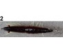 Калмарка скарида със светещи крачета OKINWA SQUID HOUNTER 11 см