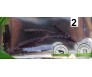 Силиконови червеи Osako Larva 4 см за риболов – комплект 10 броя