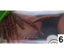 Силиконови червеи Osako Larva 4 см за риболов – комплект 10 броя
