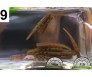 Силиконови червеи Osako Larva 4 см за риболов – комплект 10 броя